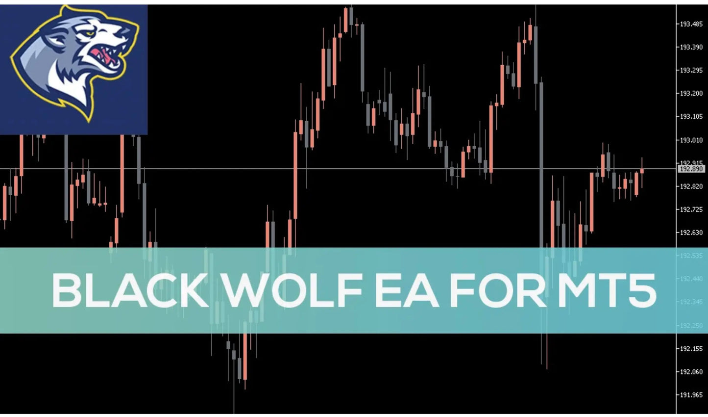 Black Wolf EA MT5 – Trading Forex Indicator FxTradingAlpha